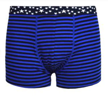 OEM dryžuoti mėlyni vyriški apatiniai